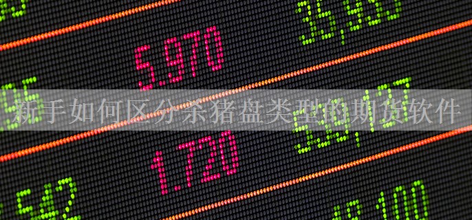 新手如何区分杀猪盘类型的期货软件