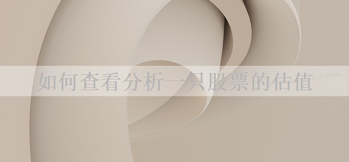 如何查看分析一只股票的估值