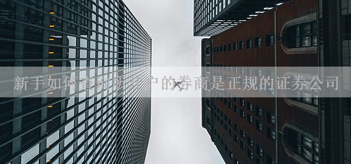 新手如何查询所开户的券商是正规的证券公司