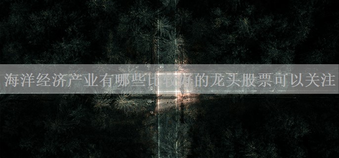 海洋经济产业有哪些比较好的龙头股票可以关注