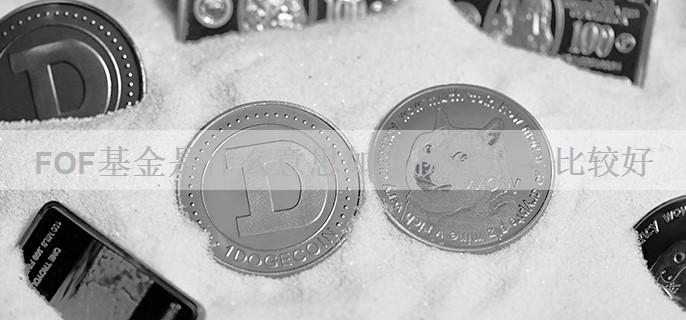 FOF基金是什么意思如何挑选定投比较好