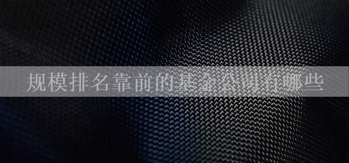 规模排名靠前的基金公司有哪些