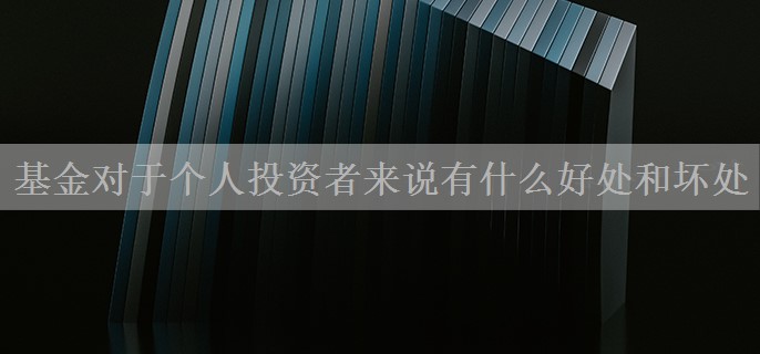 基金对于个人投资者来说有什么好处和坏处