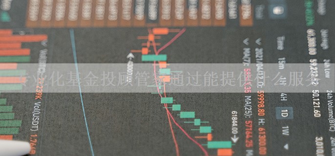 专业化基金投顾管家通过能提供什么服务