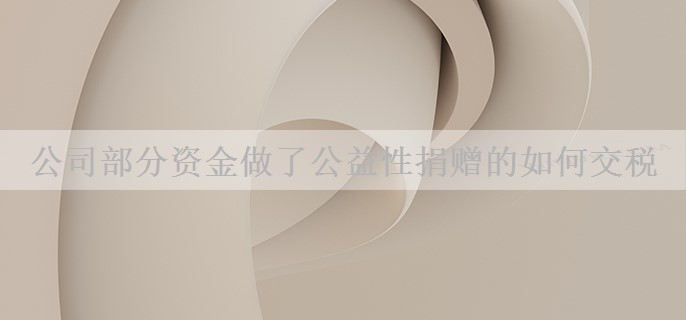 公司部分资金做了公益性捐赠的如何交税