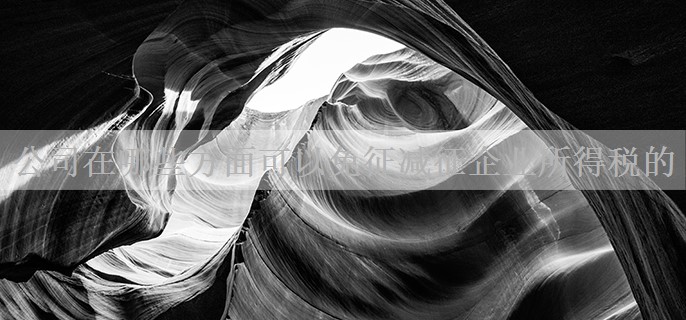 公司在哪些方面可以免征减征企业所得税的