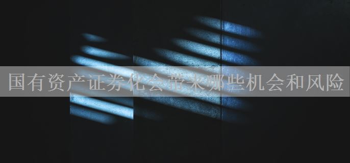 国有资产证券化会带来哪些机会和风险