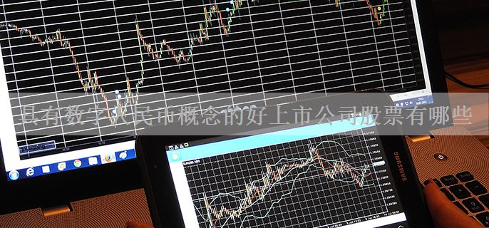 具有数字人民币概念的好上市公司股票有哪些