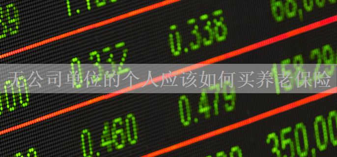 无公司单位的个人应该如何买养老保险