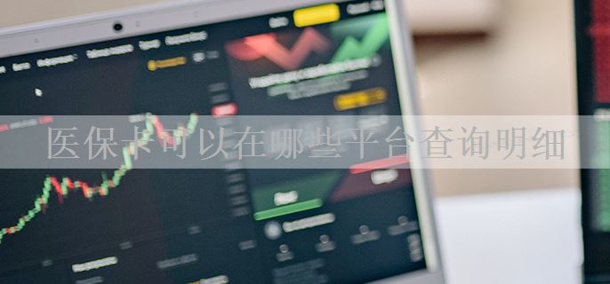 医保卡可以在哪些平台查询明细