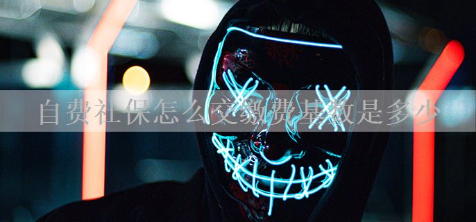自费社保怎么交缴费基数是多少