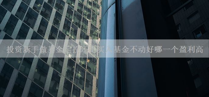 投资新手做基金定投还是买入基金不动好哪一个盈利高