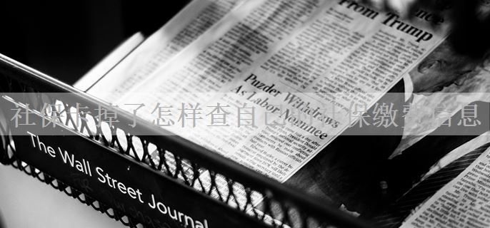 社保卡掉了怎样查自己的社保缴费信息