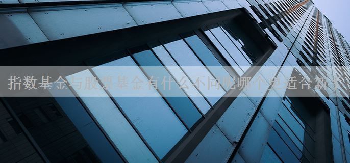 指数基金与股票基金有什么不同呢哪个更适合新手