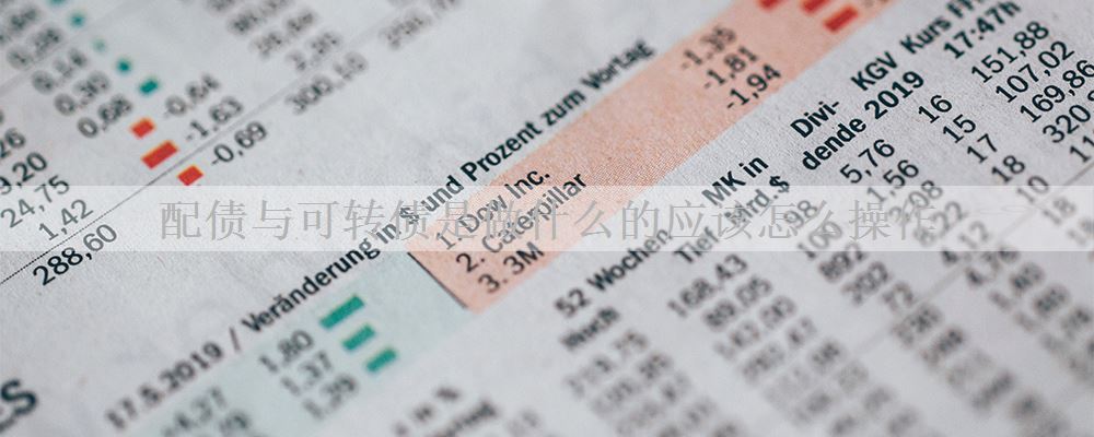 配债与可转债是做什么的应该怎么操作